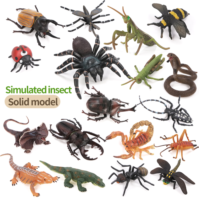 Educatieve simulatie insecten- - Kids Toys Brand recensie en prijs